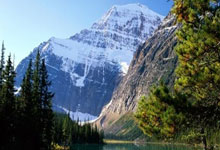 九游官网app-关于哥伦比亚大胜玻利维亚，欧预赛小组晋级前景看好的信息